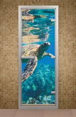 Стеклянная дверь для хаммама Aldo Водный мир 1900х700
